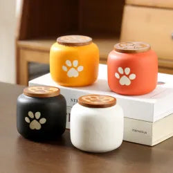 Pet Accessories
